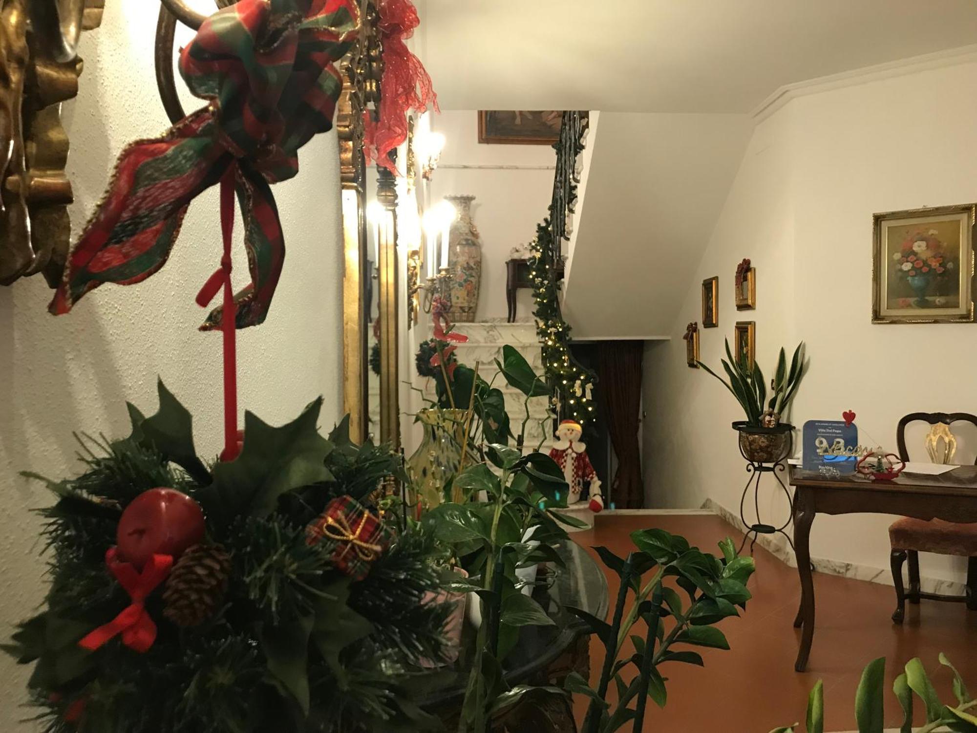 Villa Del Papa Lucca Eksteriør bilde
